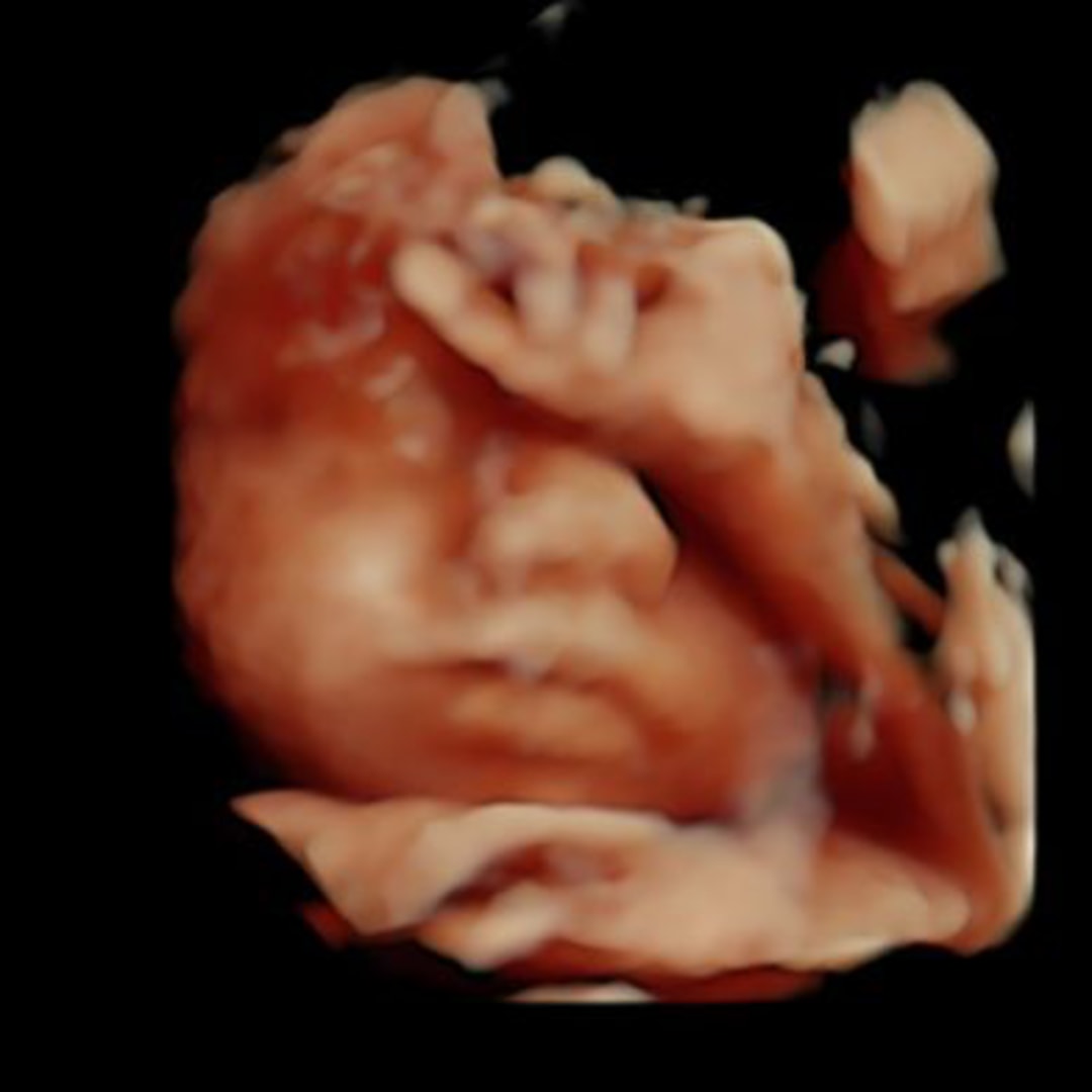 Photo shared by Jayden for their Babylist baby registry.