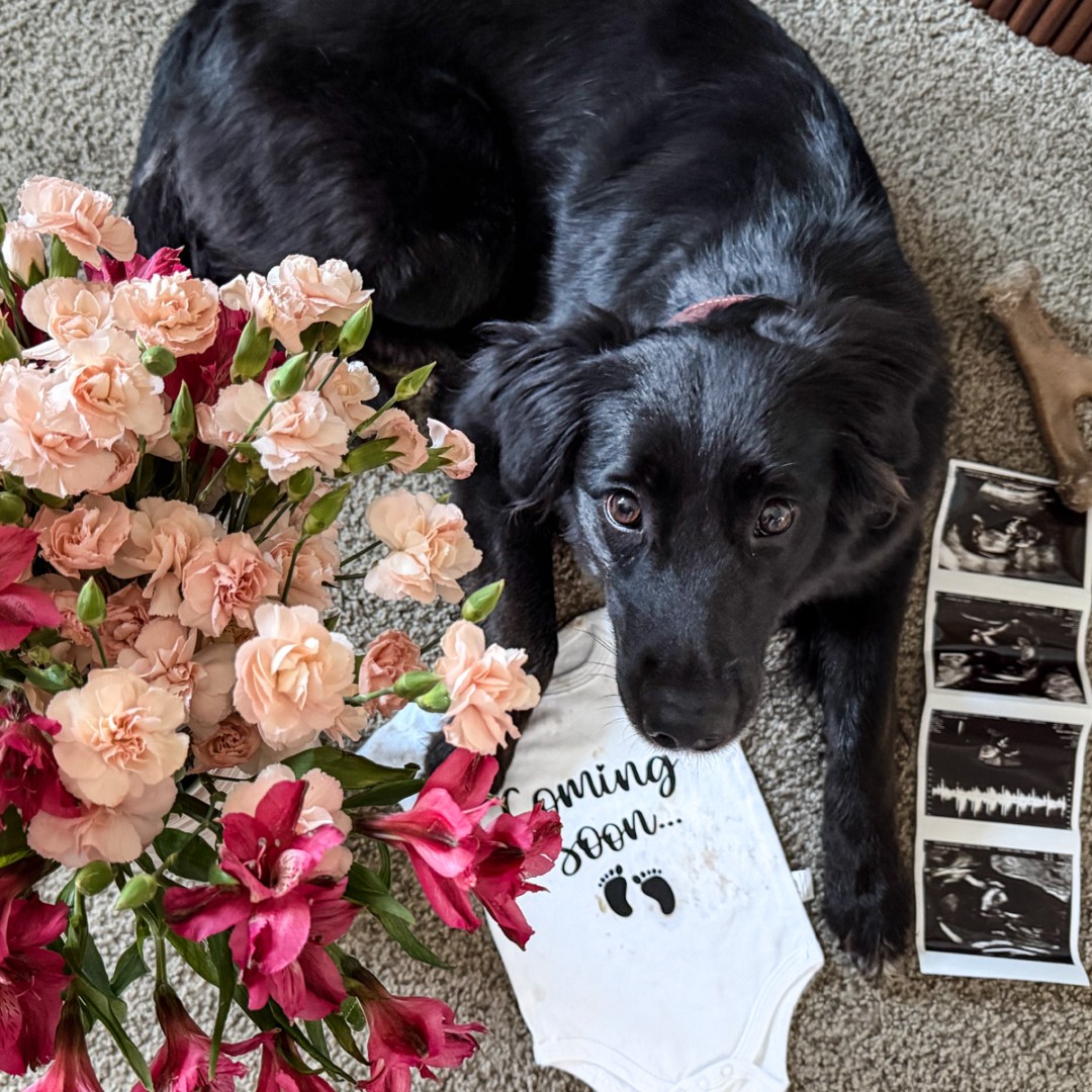 Photo shared by Vanessa for their Babylist baby registry.