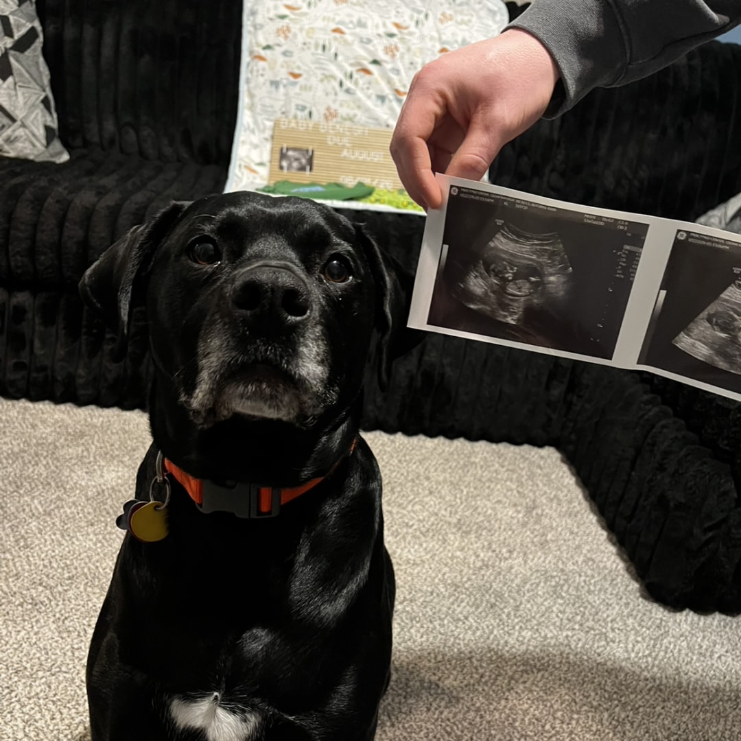 Photo shared by Autumn-Rain for their Babylist baby registry.