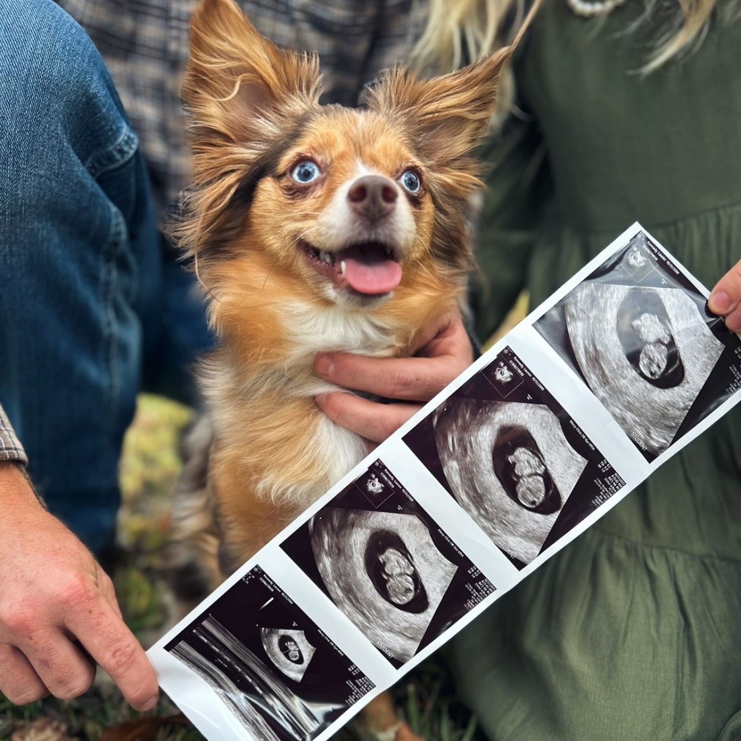 Photo shared by Lauren for their Babylist baby registry.