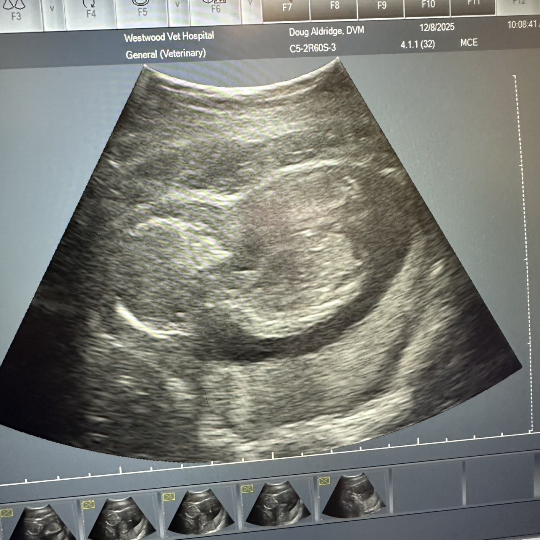 Photo shared by Brooklyn for their Babylist baby registry.