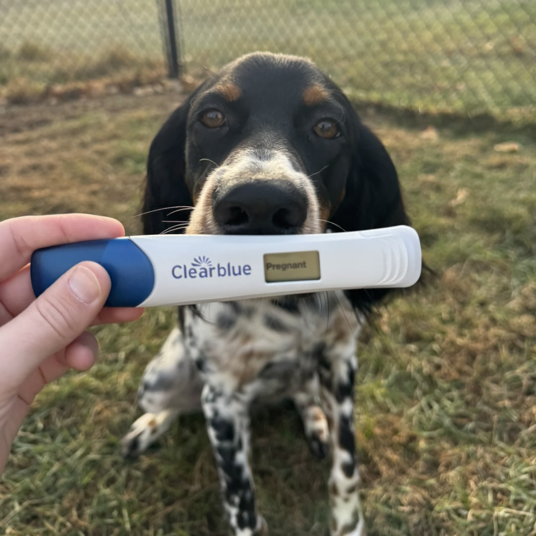 Photo shared by Kylee for their Babylist baby registry.