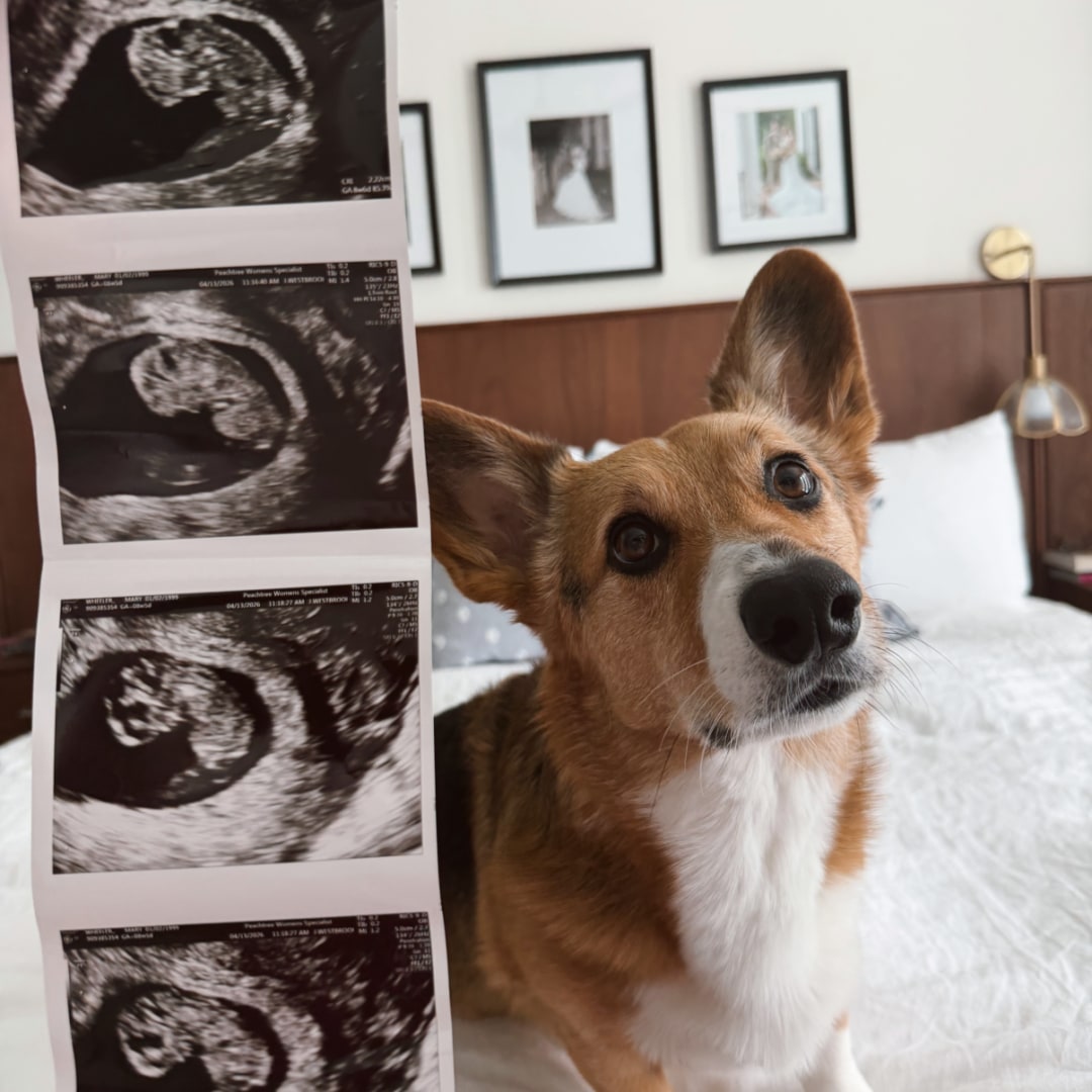 Photo shared by Cailan for their Babylist baby registry.
