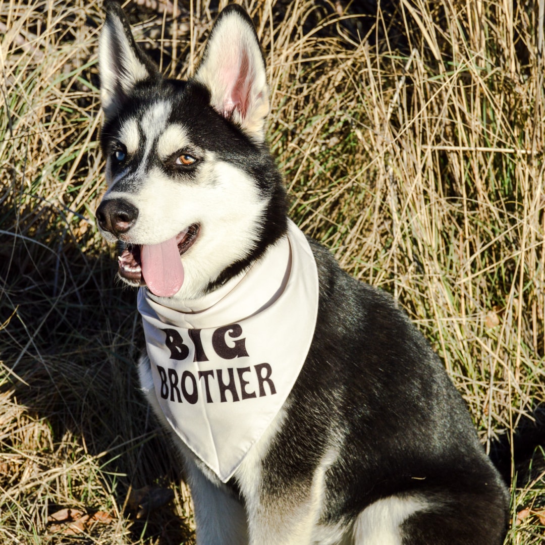 Photo shared by Kylynn for their Babylist baby registry.