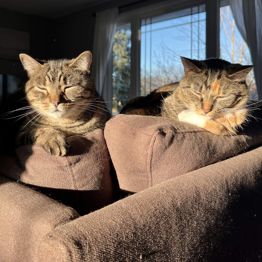 Photo shared by Honoka for their Babylist baby registry.