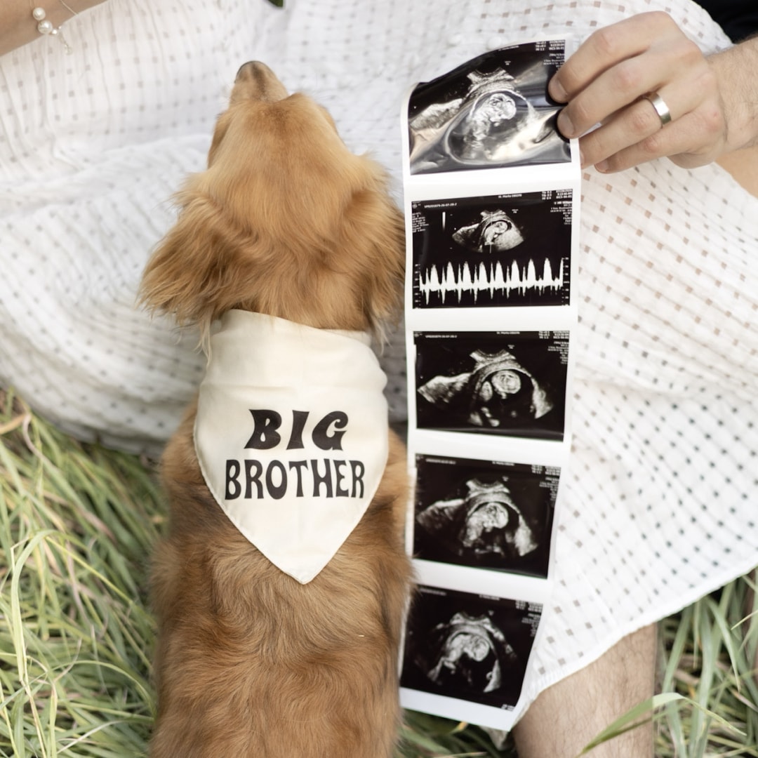 Photo shared by Sidney for their Babylist baby registry.