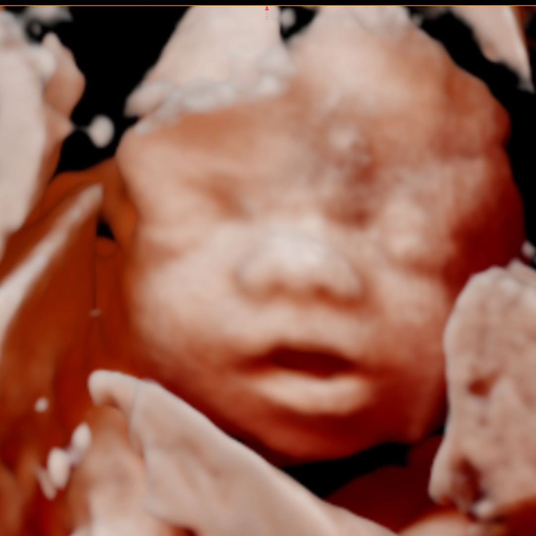 Photo shared by Montana for their Babylist baby registry.