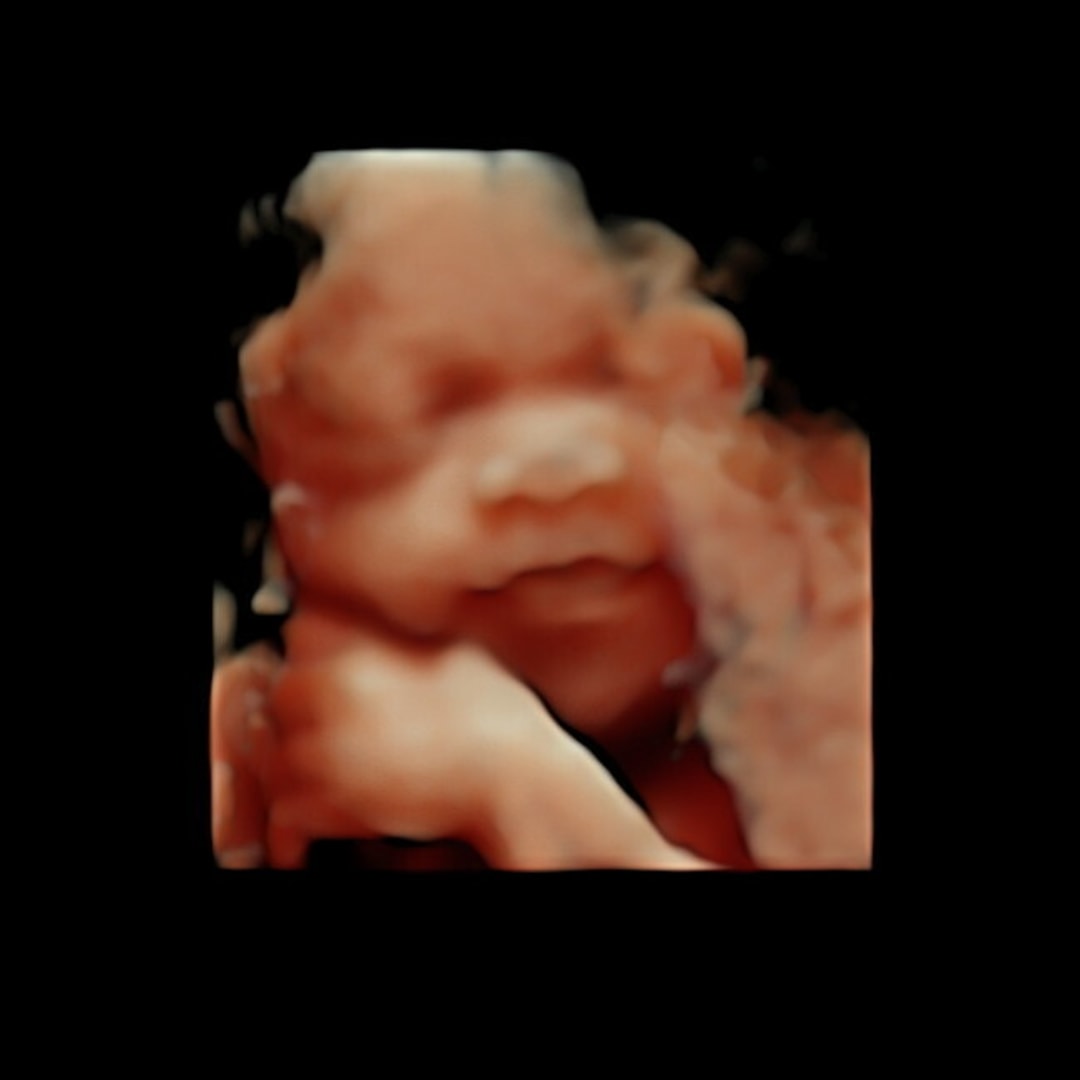 Photo shared by Janille Princess for their Babylist baby registry.