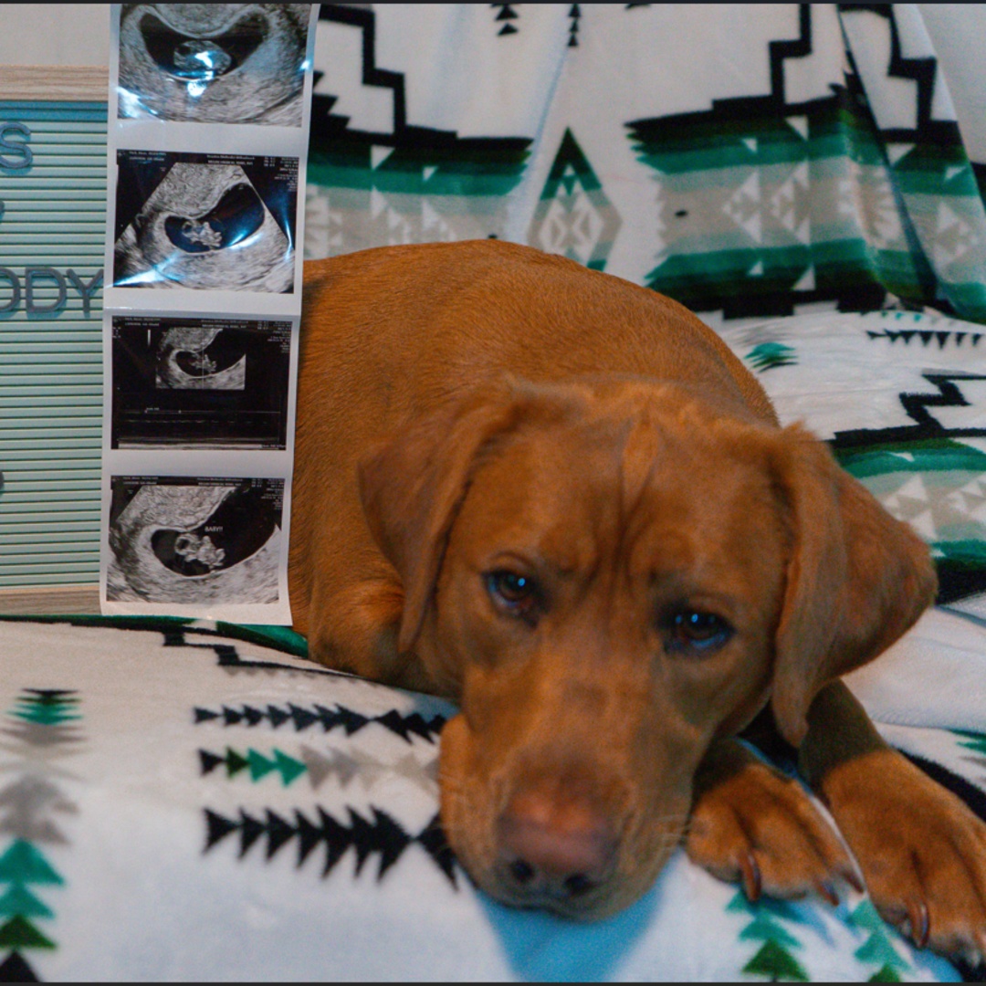 Photo shared by Alexis for their Babylist baby registry.