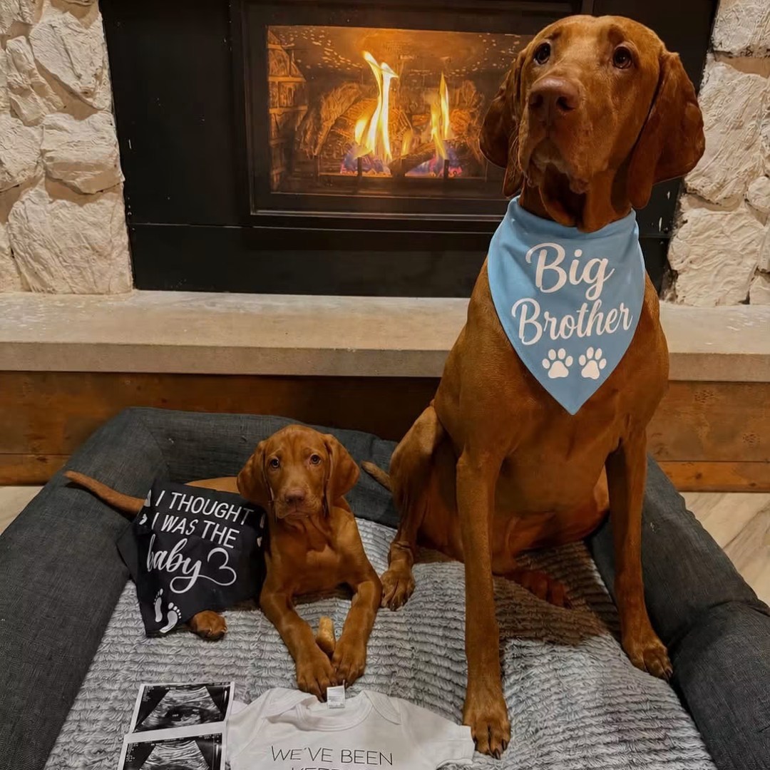 Photo shared by Elissa for their Babylist baby registry.