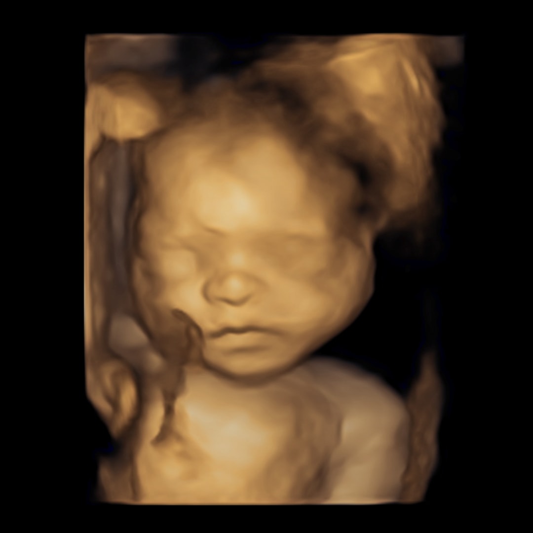 Photo shared by Guadalupe for their Babylist baby registry.
