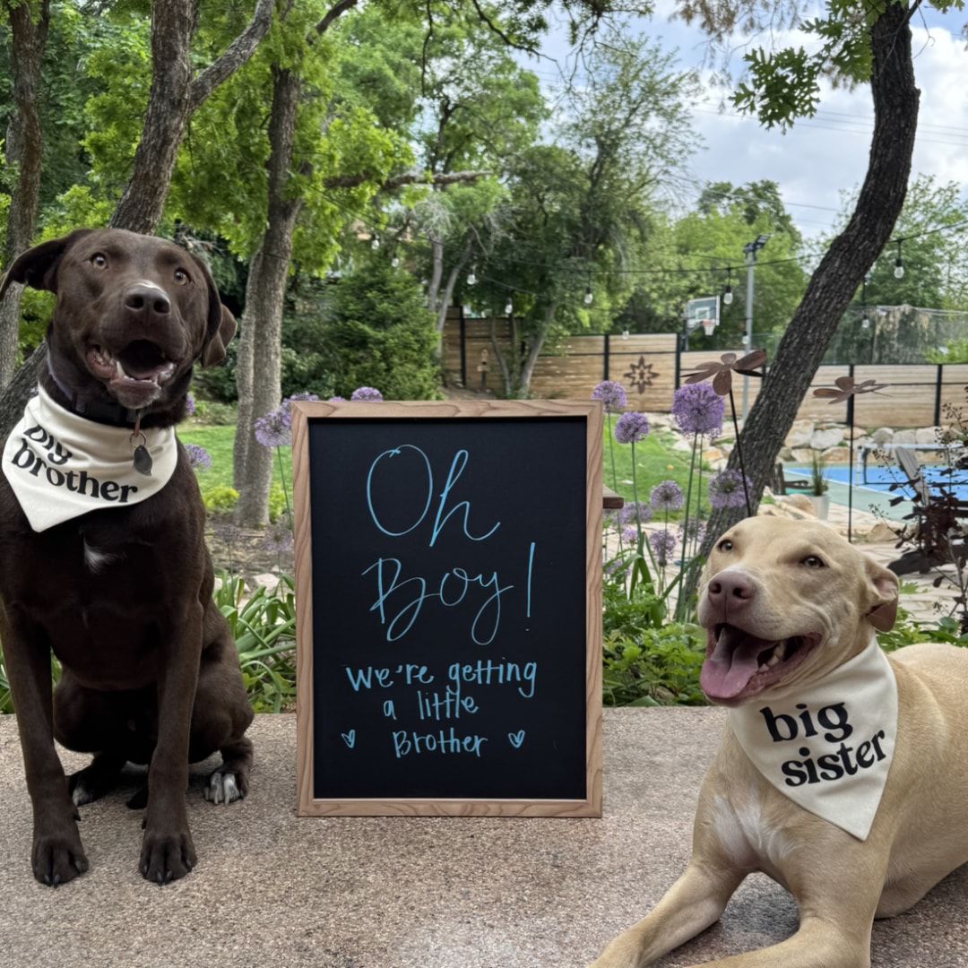 Photo shared by Madeline for their Babylist baby registry.