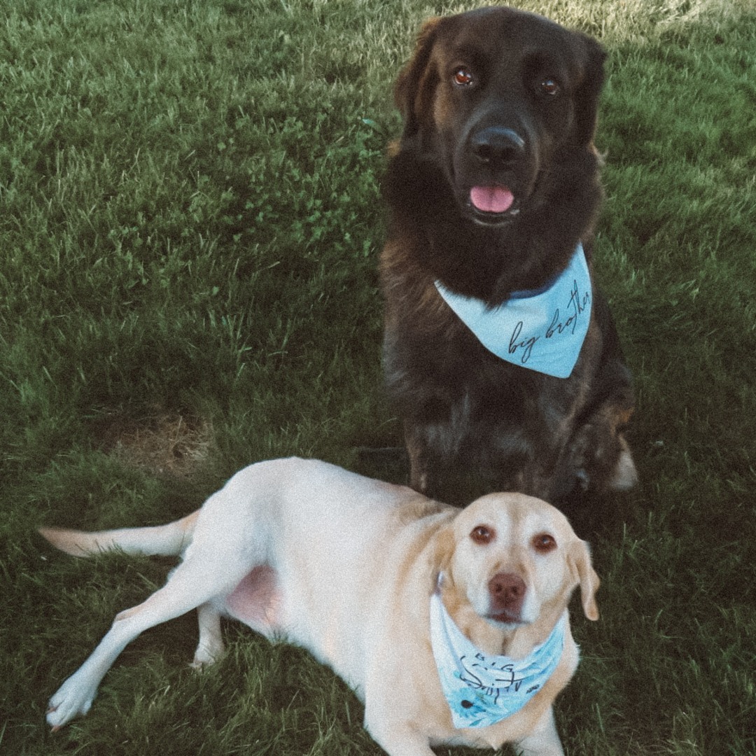 Photo shared by Macy for their Babylist baby registry.