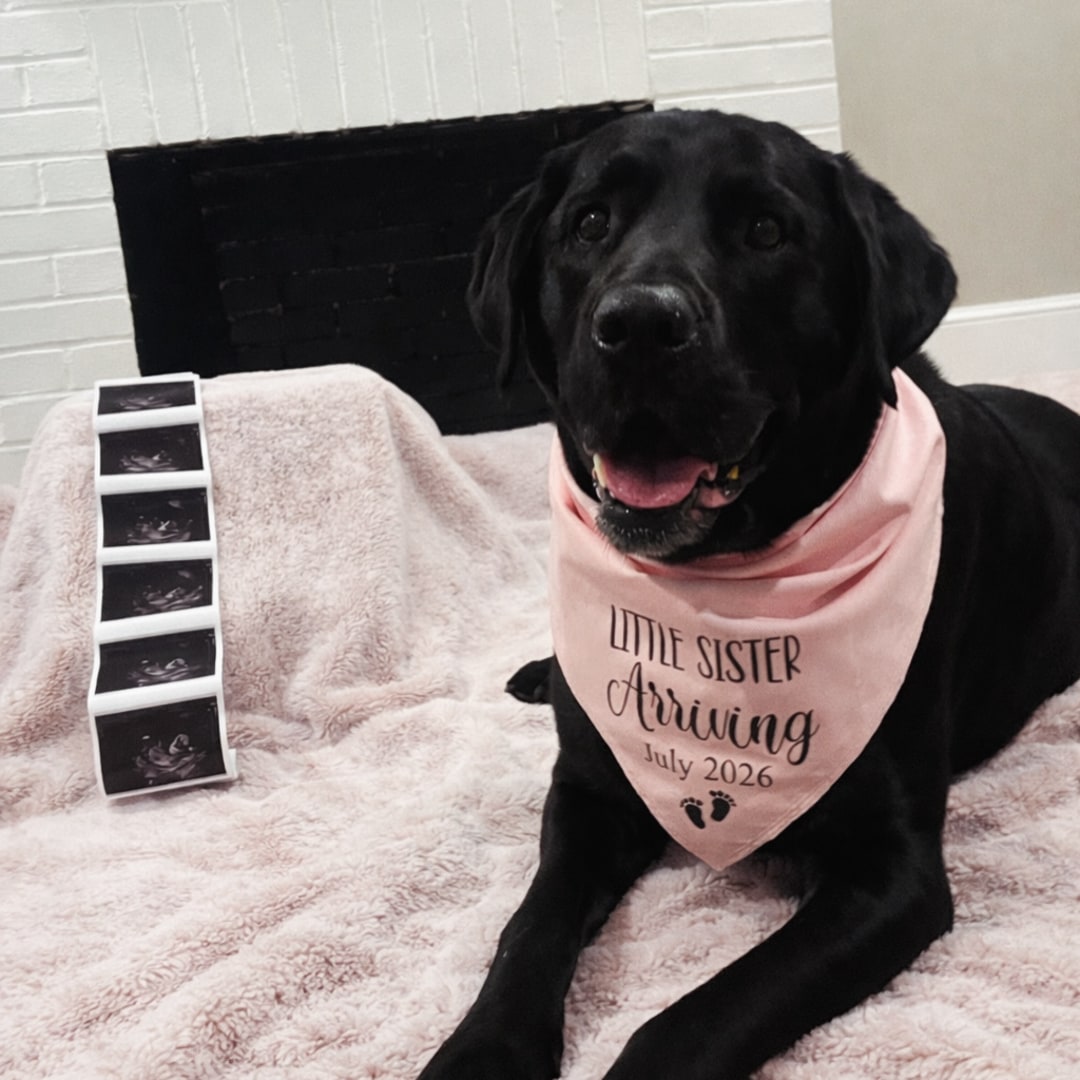 Photo shared by Alicia for their Babylist baby registry.