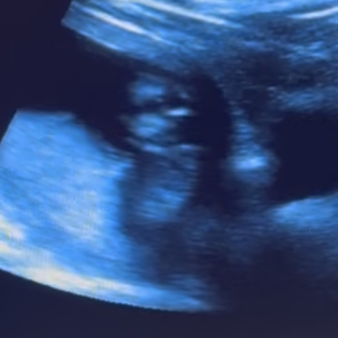 Photo shared by Liz for their Babylist baby registry.