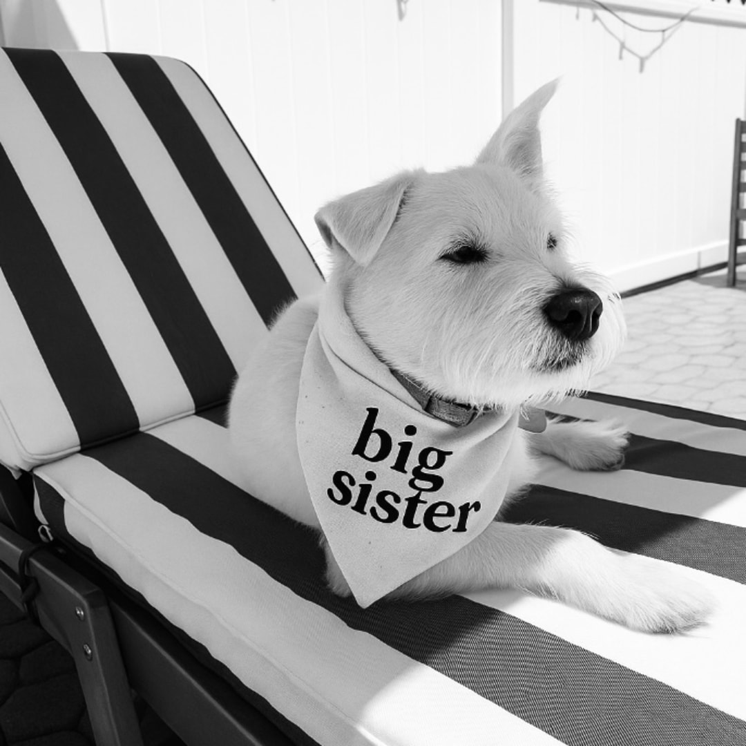 Photo shared by Rachel for their Babylist baby registry.