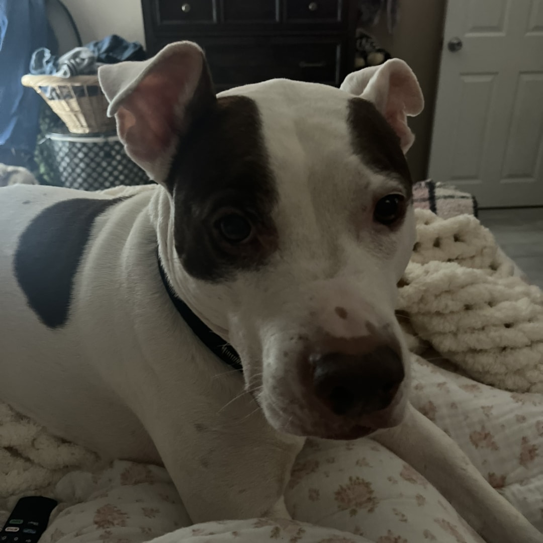 Photo shared by Angelina for their Babylist baby registry.