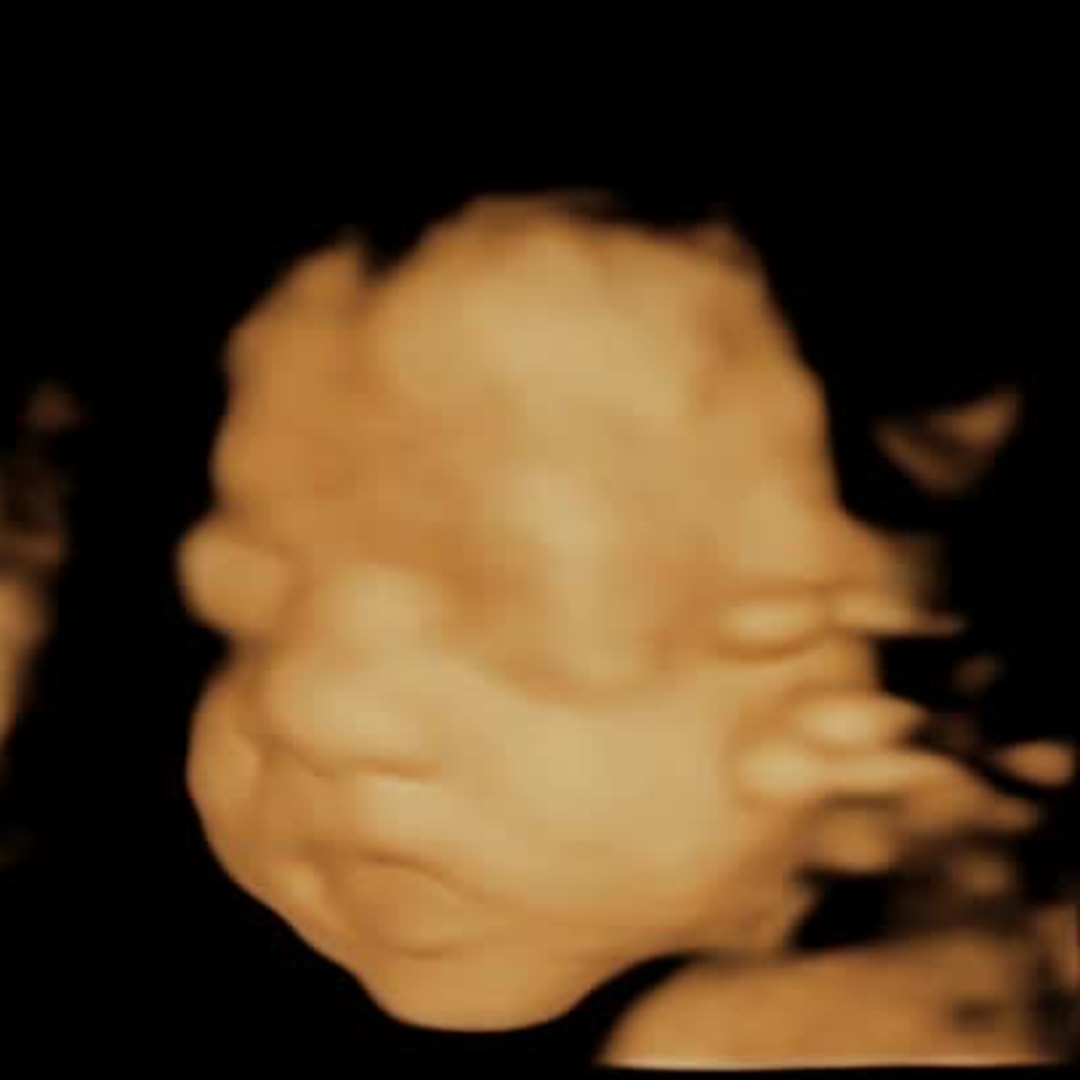 Photo shared by Hannah for their Babylist baby registry.