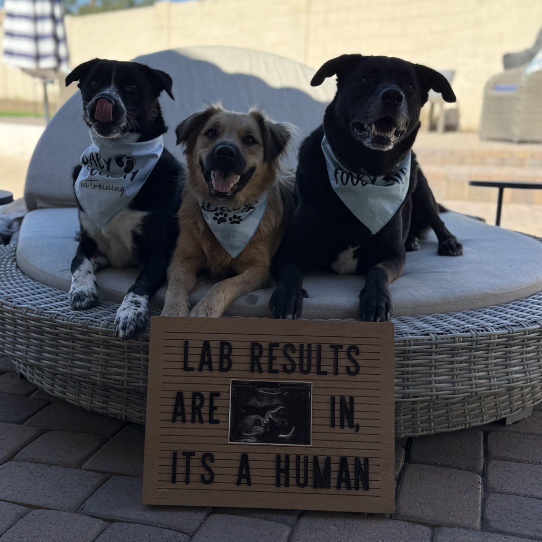 Photo shared by Maren for their Babylist baby registry.