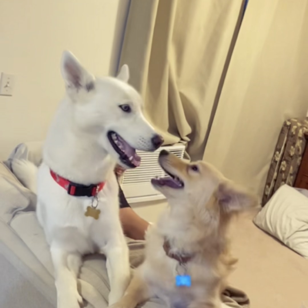 Photo shared by Cassey for their Babylist baby registry.