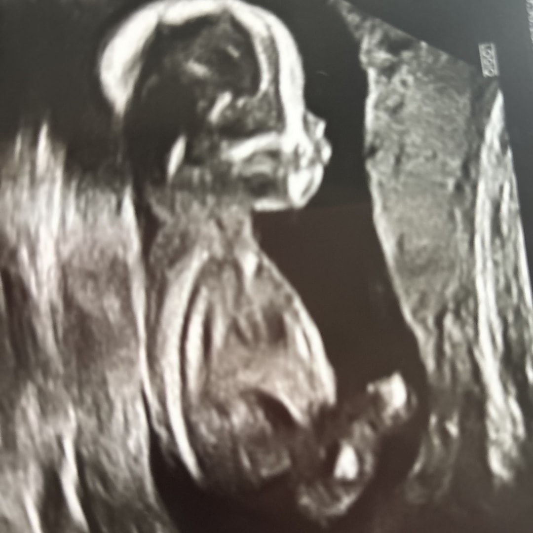 Photo shared by Dar for their Babylist baby registry.