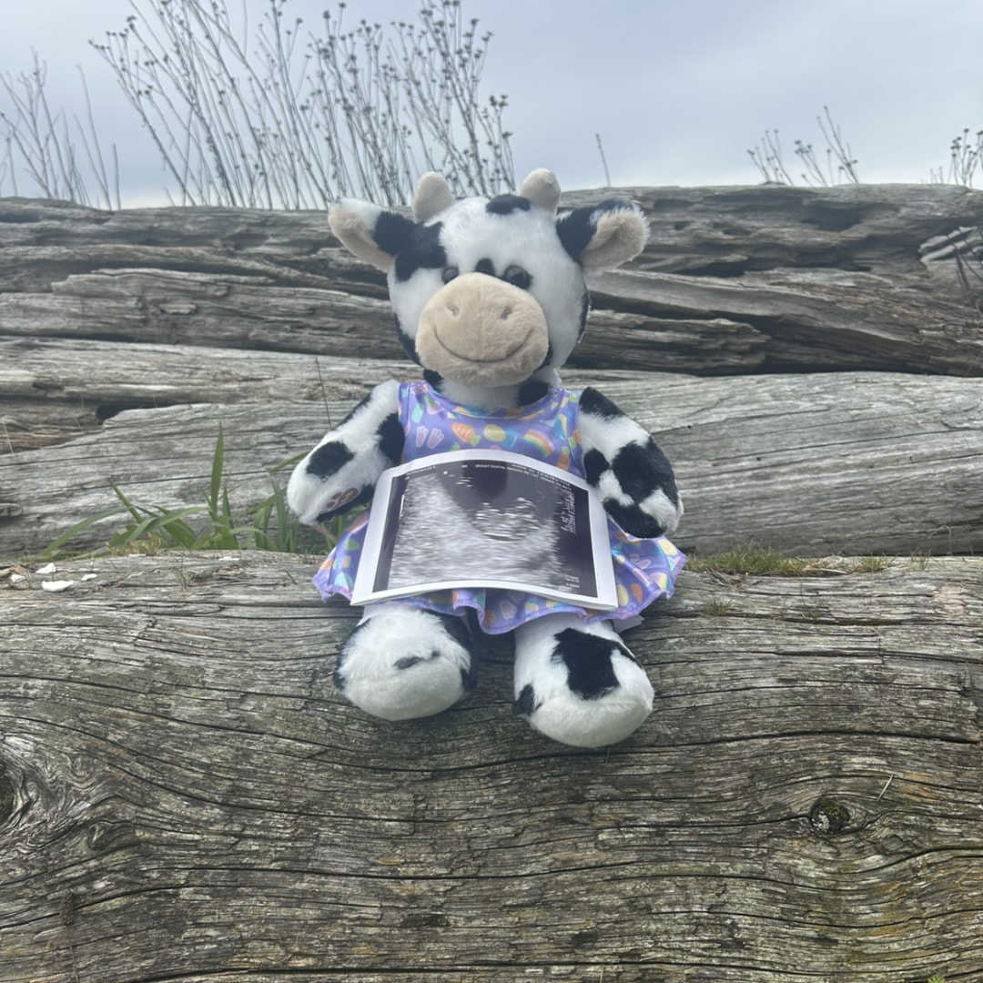 Photo shared by Haylee for their Babylist baby registry.