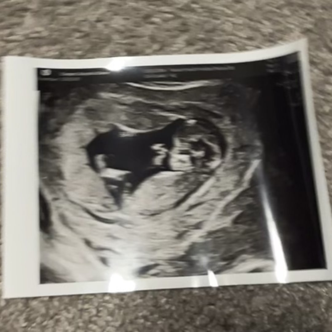 Photo shared by Alayshia for their Babylist baby registry.