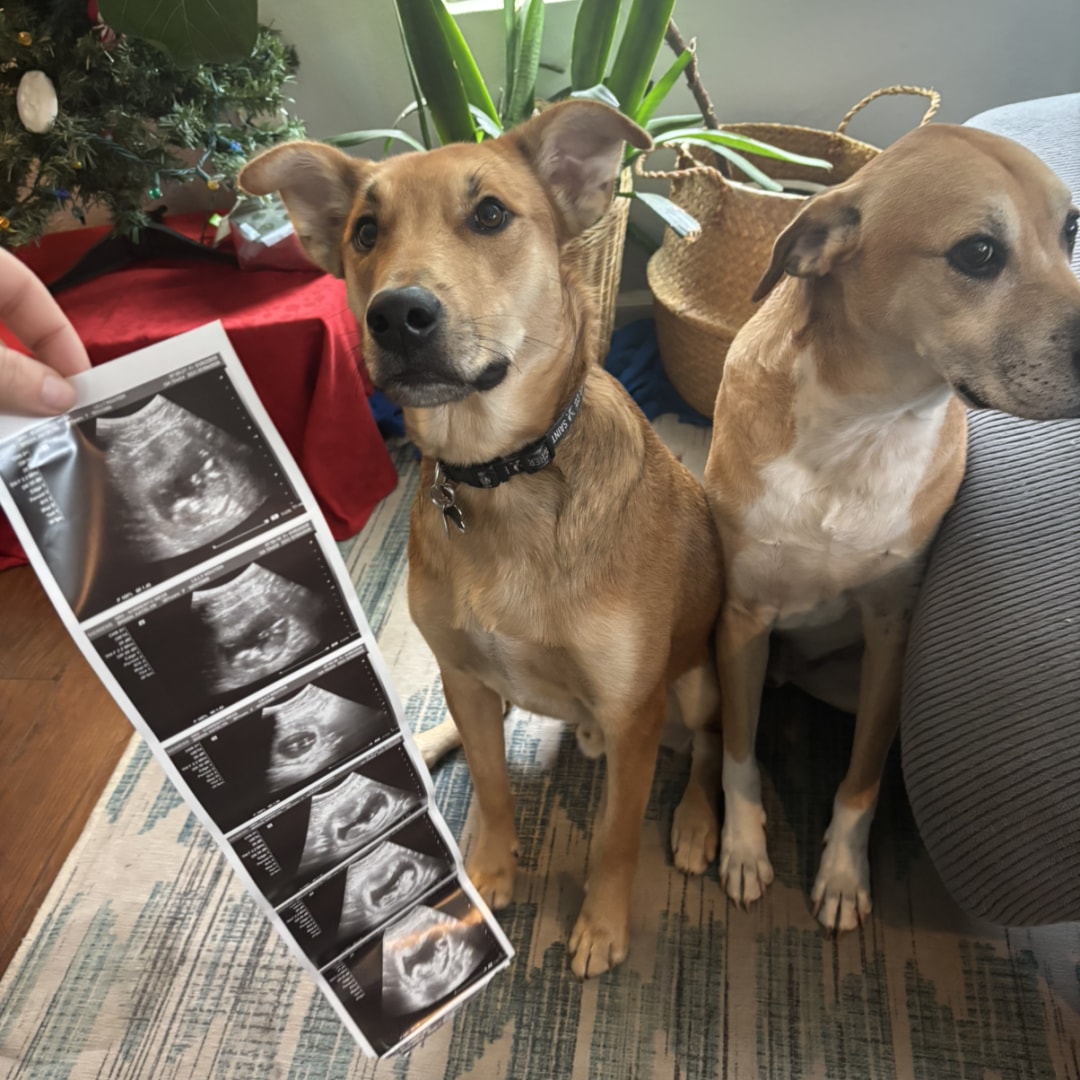 Photo shared by Kate for their Babylist baby registry.