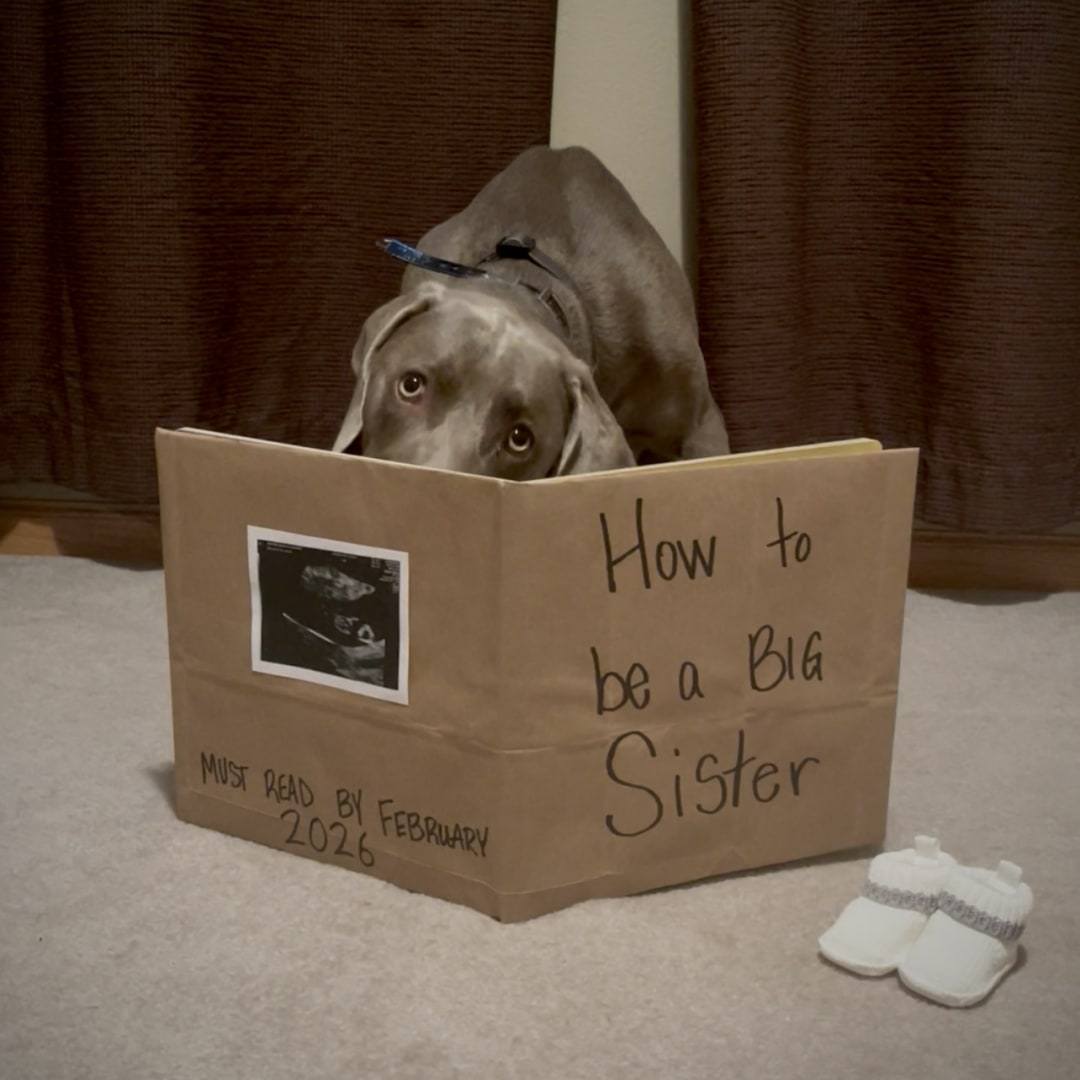 Photo shared by Megan for their Babylist baby registry.