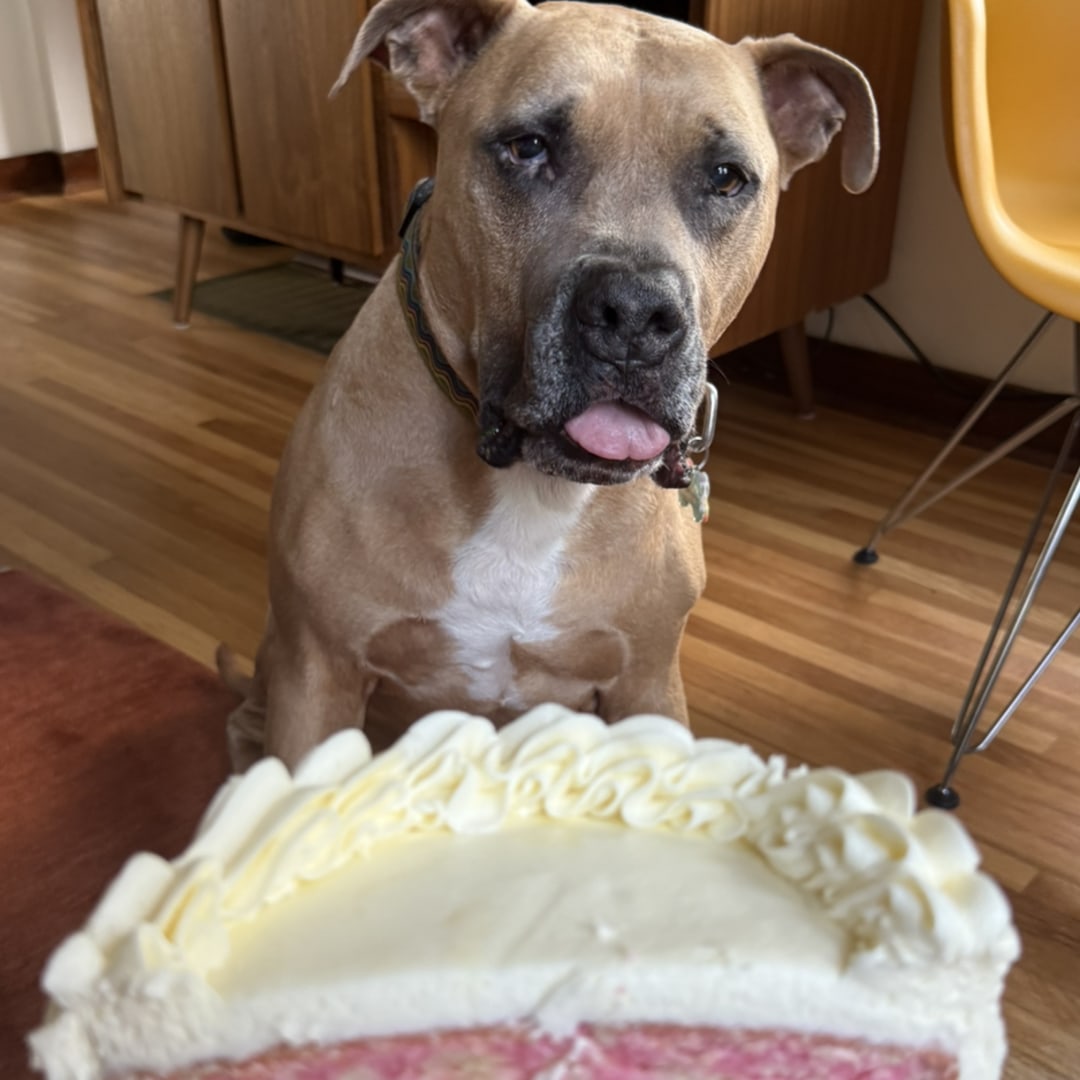 Photo shared by Brielle for their Babylist baby registry.