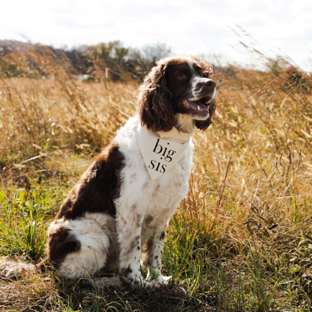 Photo shared by Jessica for their Babylist baby registry.