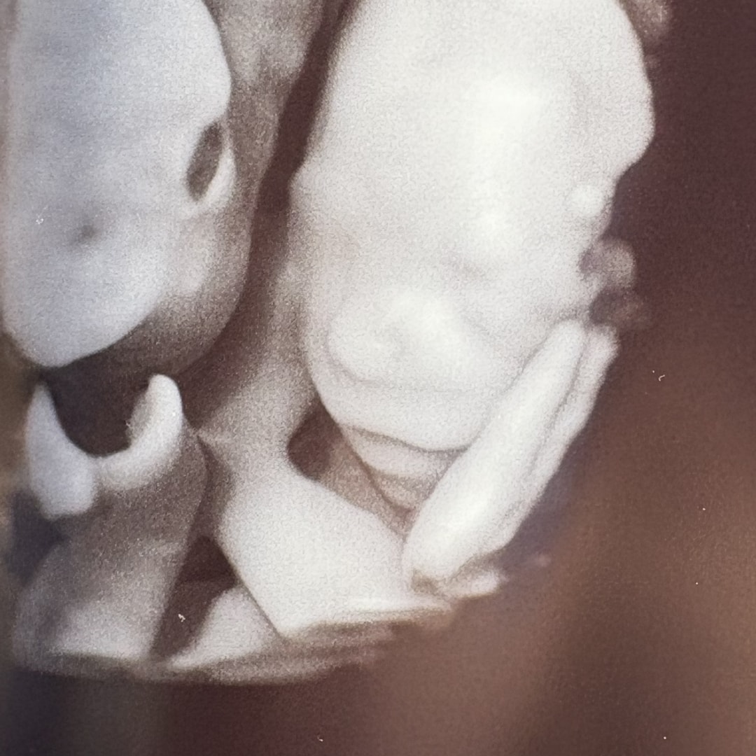 Photo shared by Zaylie for their Babylist baby registry.
