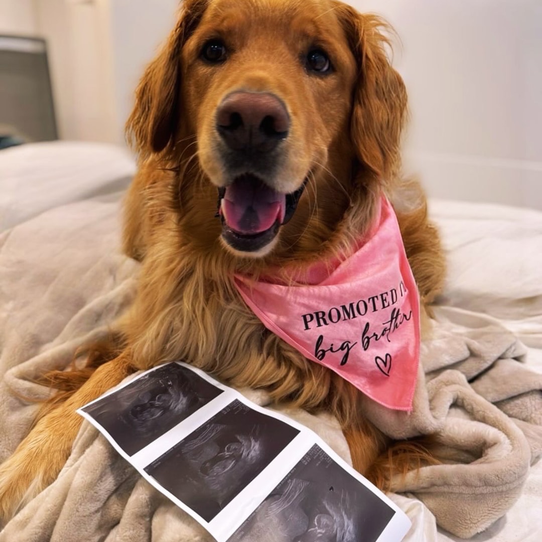 Photo shared by Faye for their Babylist baby registry.