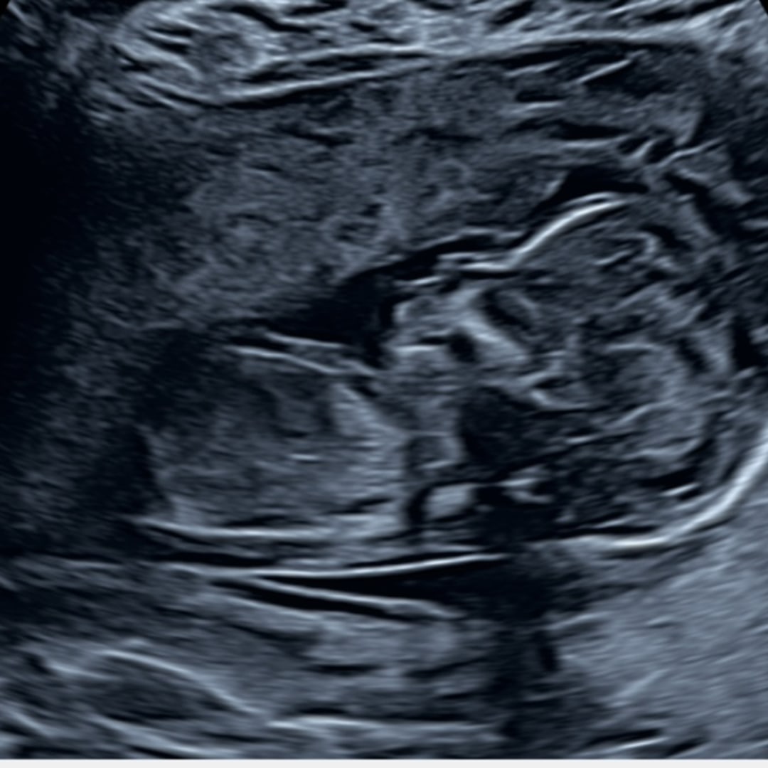 Photo shared by Jeremy for their Babylist baby registry.
