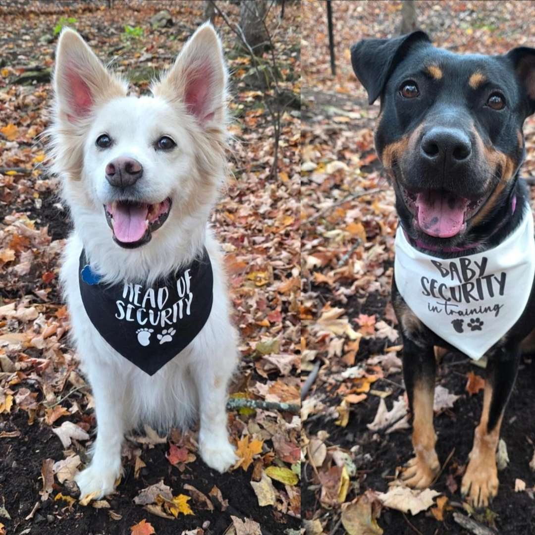 Photo shared by Anna for their Babylist baby registry.