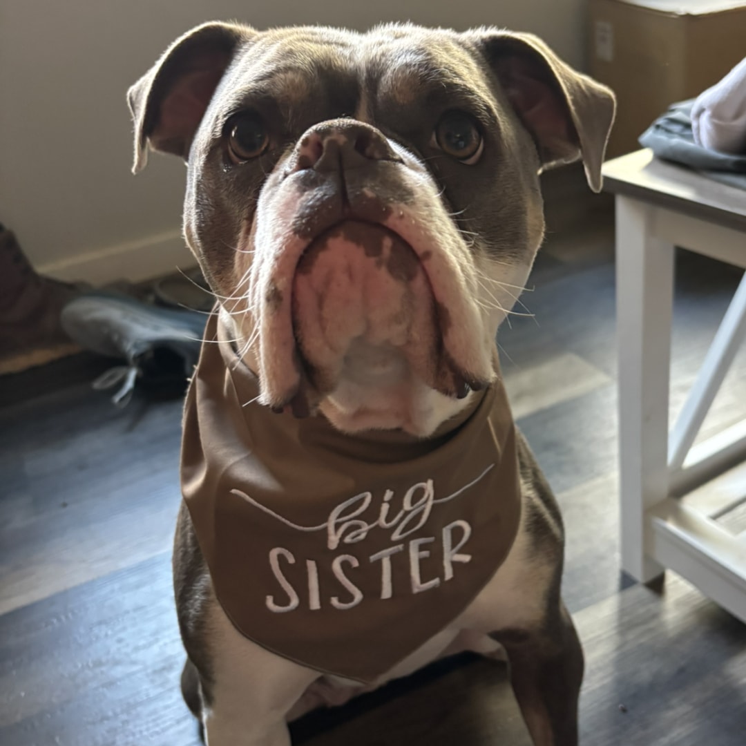 Photo shared by Jessie for their Babylist baby registry.