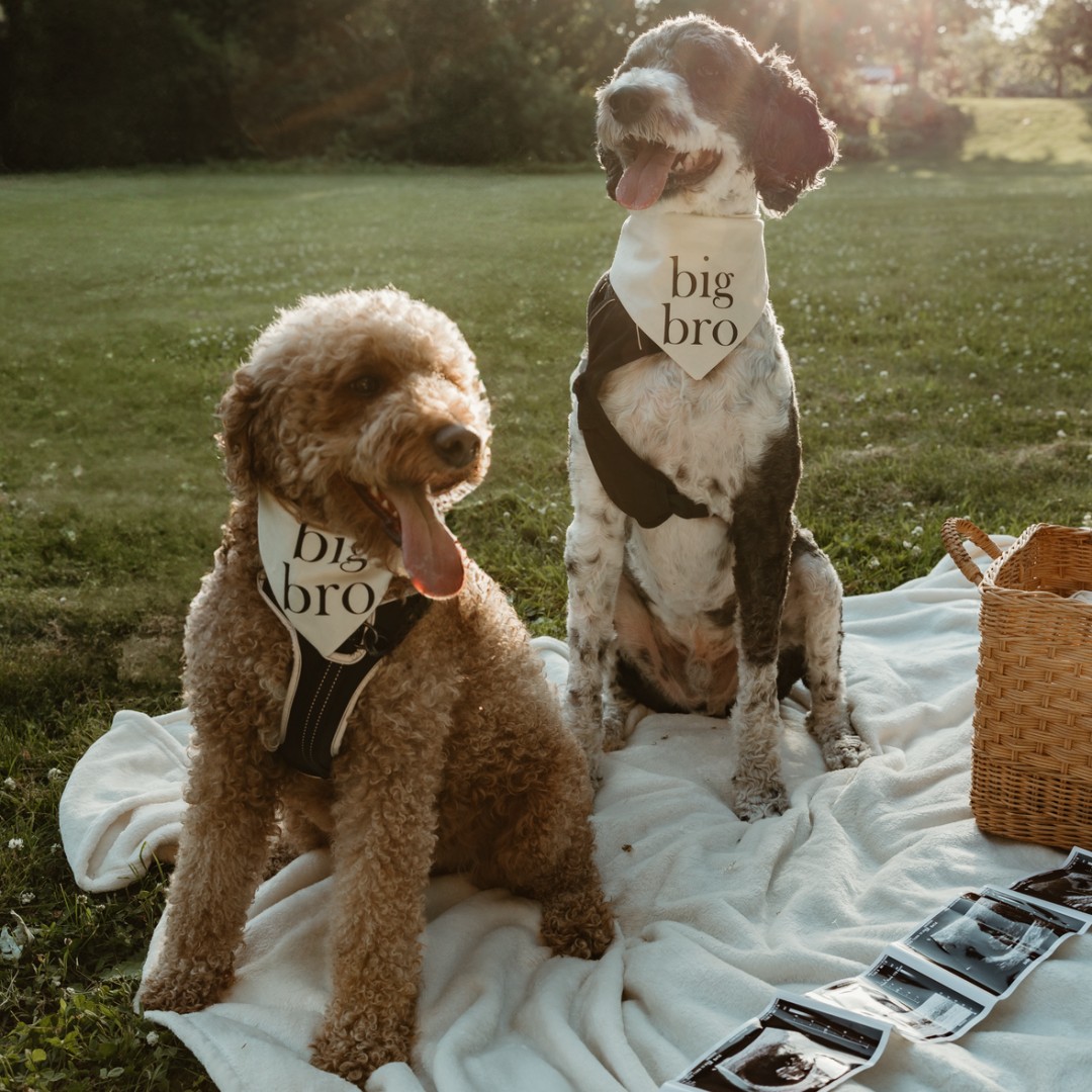Photo shared by Amanda for their Babylist baby registry.