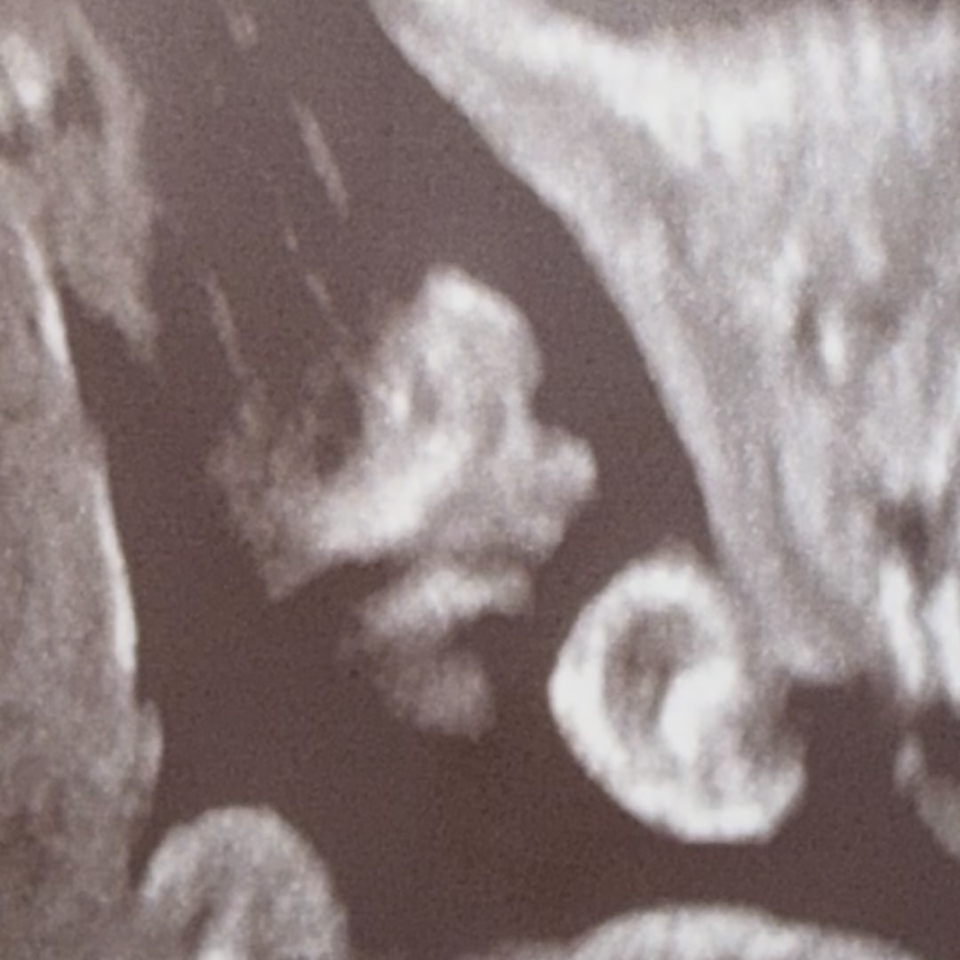 Photo shared by Joanna for their Babylist baby registry.