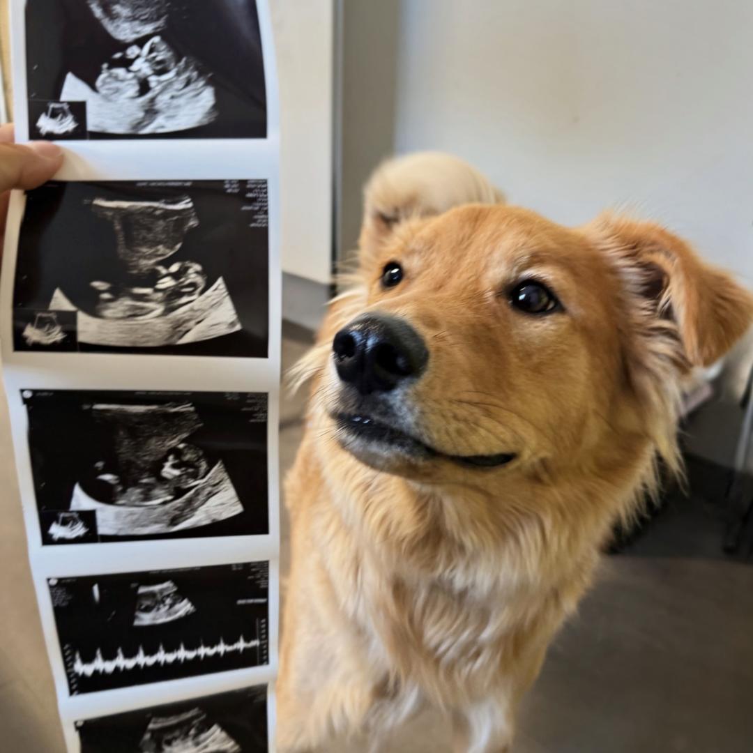 Photo shared by Emma for their Babylist baby registry.