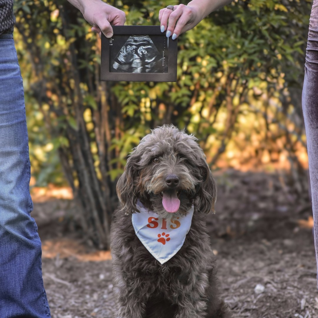 Photo shared by Katie for their Babylist baby registry.