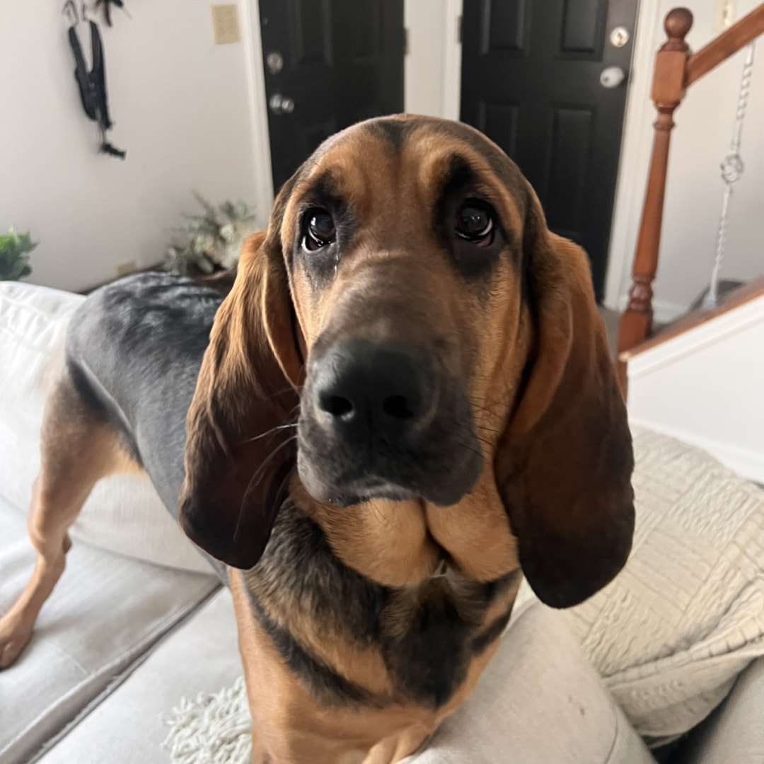 Photo shared by Jacob and Savanna for their Babylist baby registry.