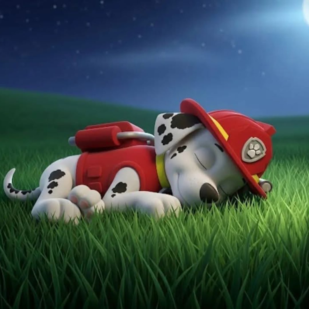 Photo shared by Amanda for their Babylist baby registry.