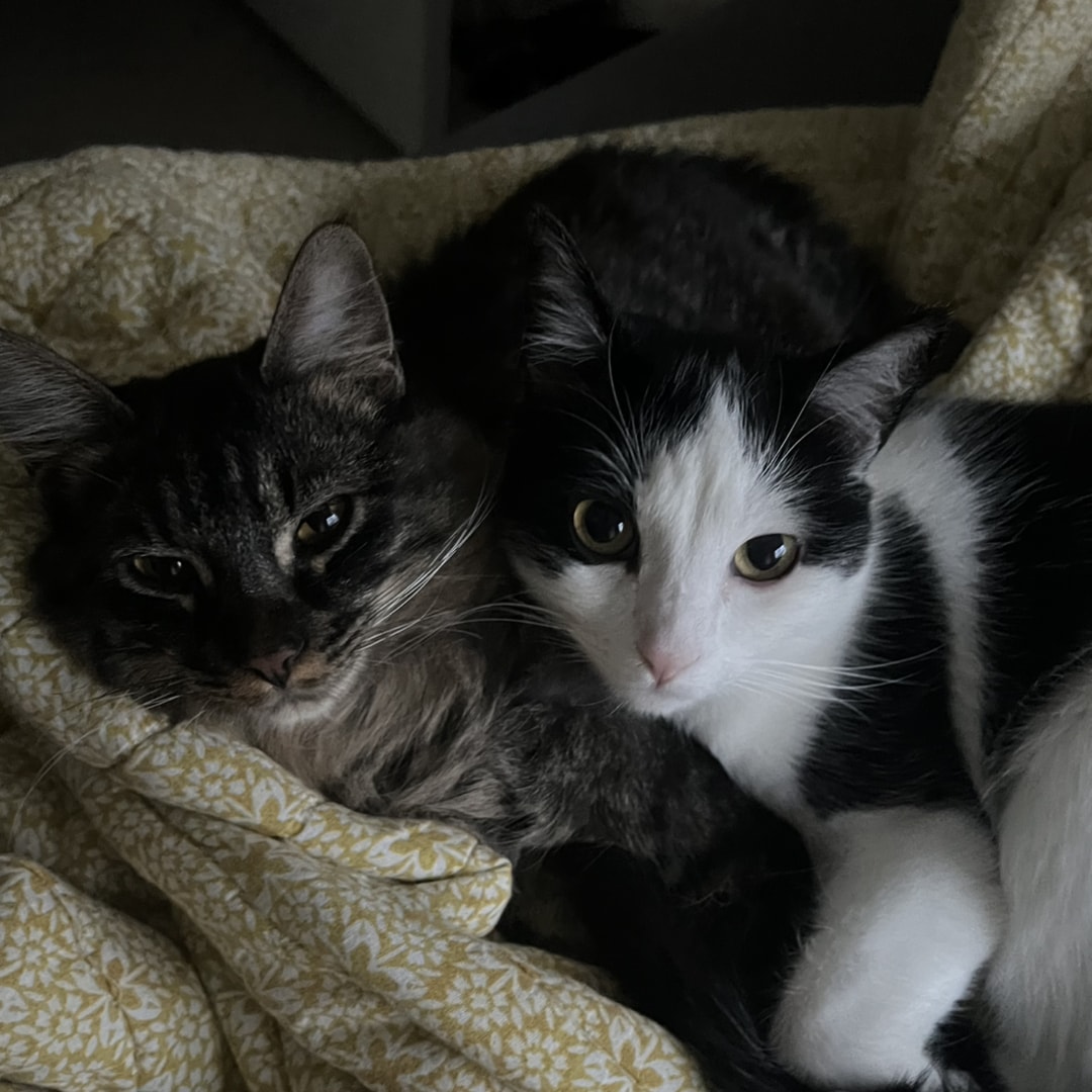 Photo shared by Sam for their Babylist baby registry.