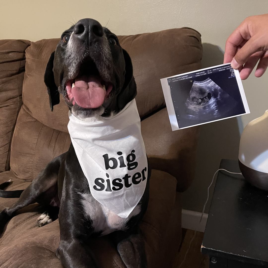 Photo shared by Cassidy for their Babylist baby registry.