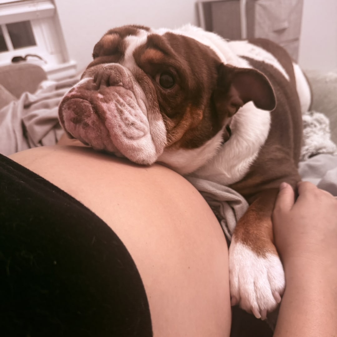 Photo shared by Erika for their Babylist baby registry.