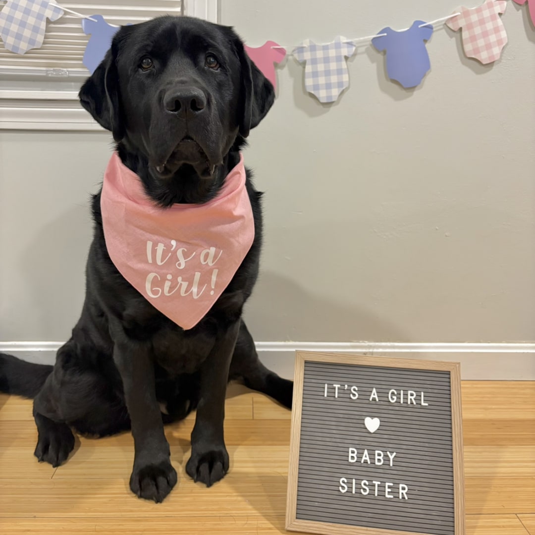 Photo shared by Danielle for their Babylist baby registry.