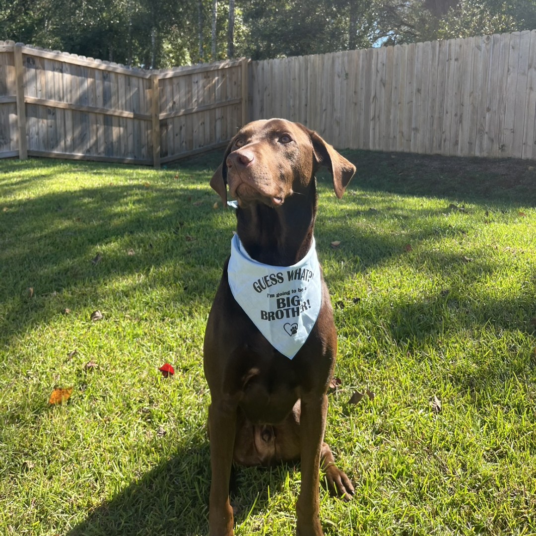 Photo shared by Gabby for their Babylist baby registry.