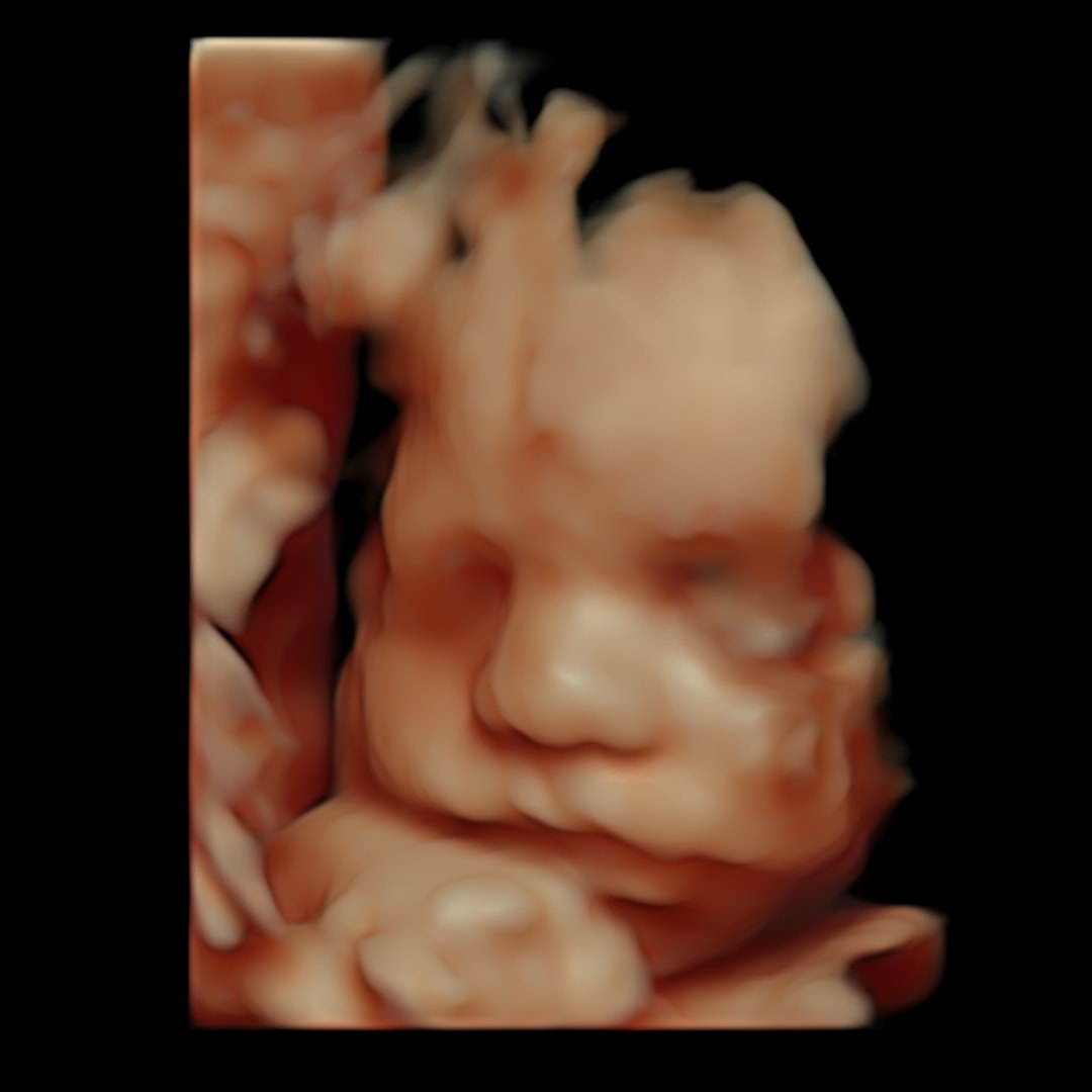 Photo shared by Maggie for their Babylist baby registry.