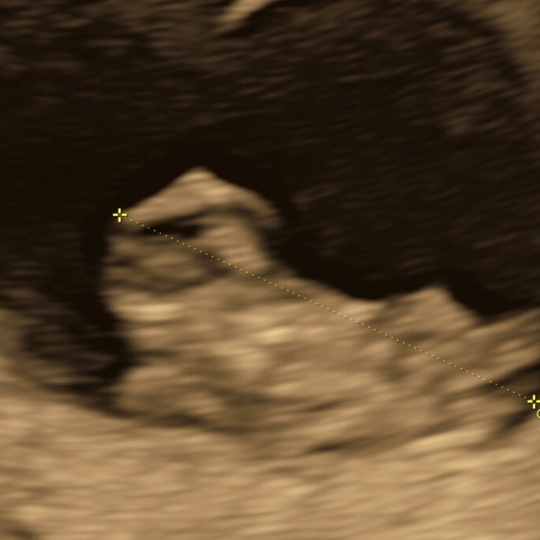 Photo shared by Antiqua for their Babylist baby registry.