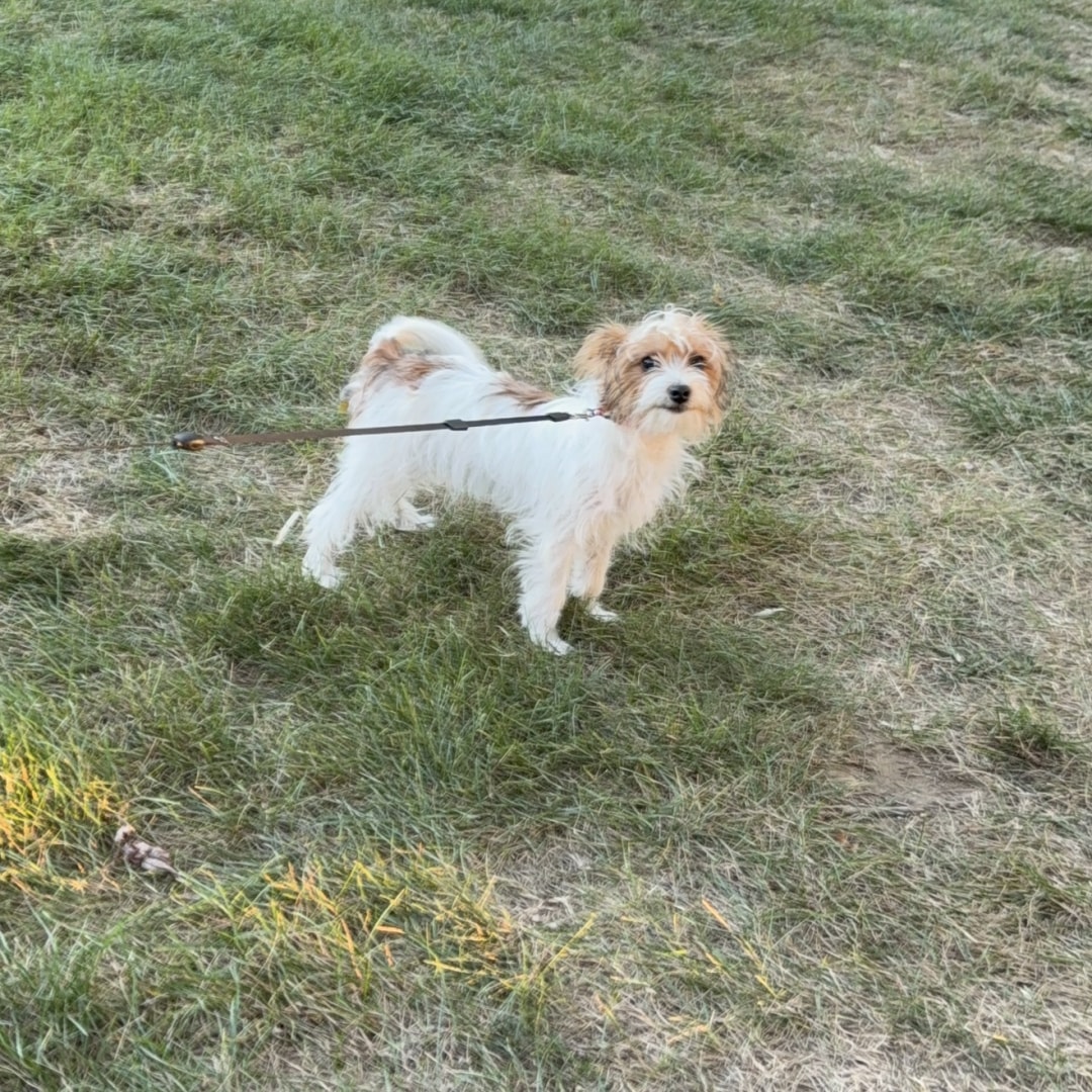 Photo shared by Greysi for their Babylist baby registry.